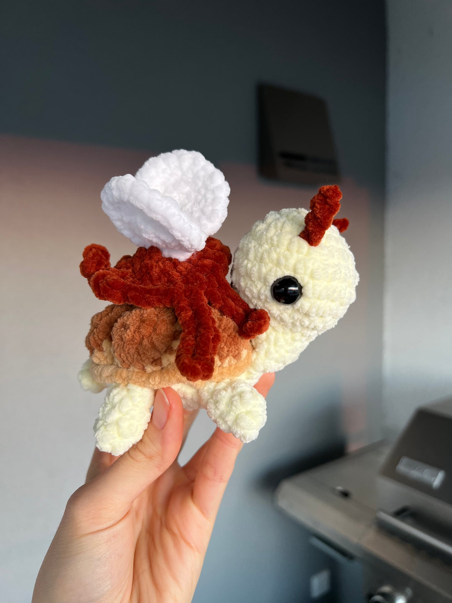 Honey die Schildkröte