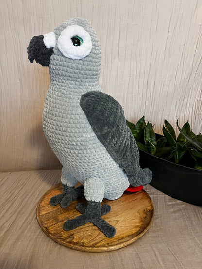 Papagei African Grey
