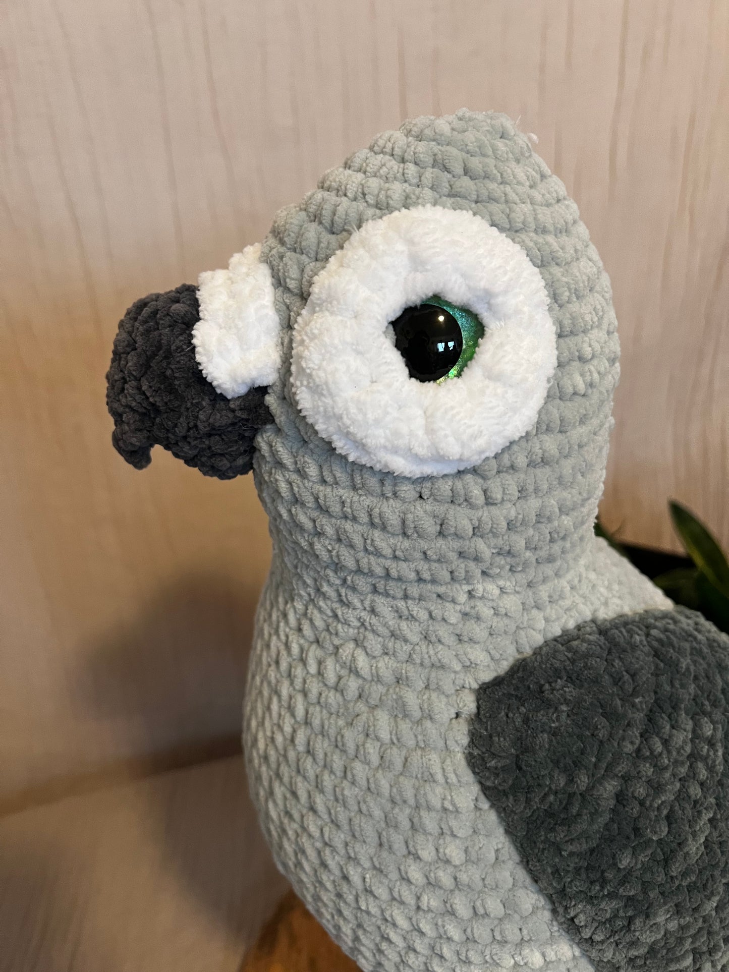 Papagei African Grey