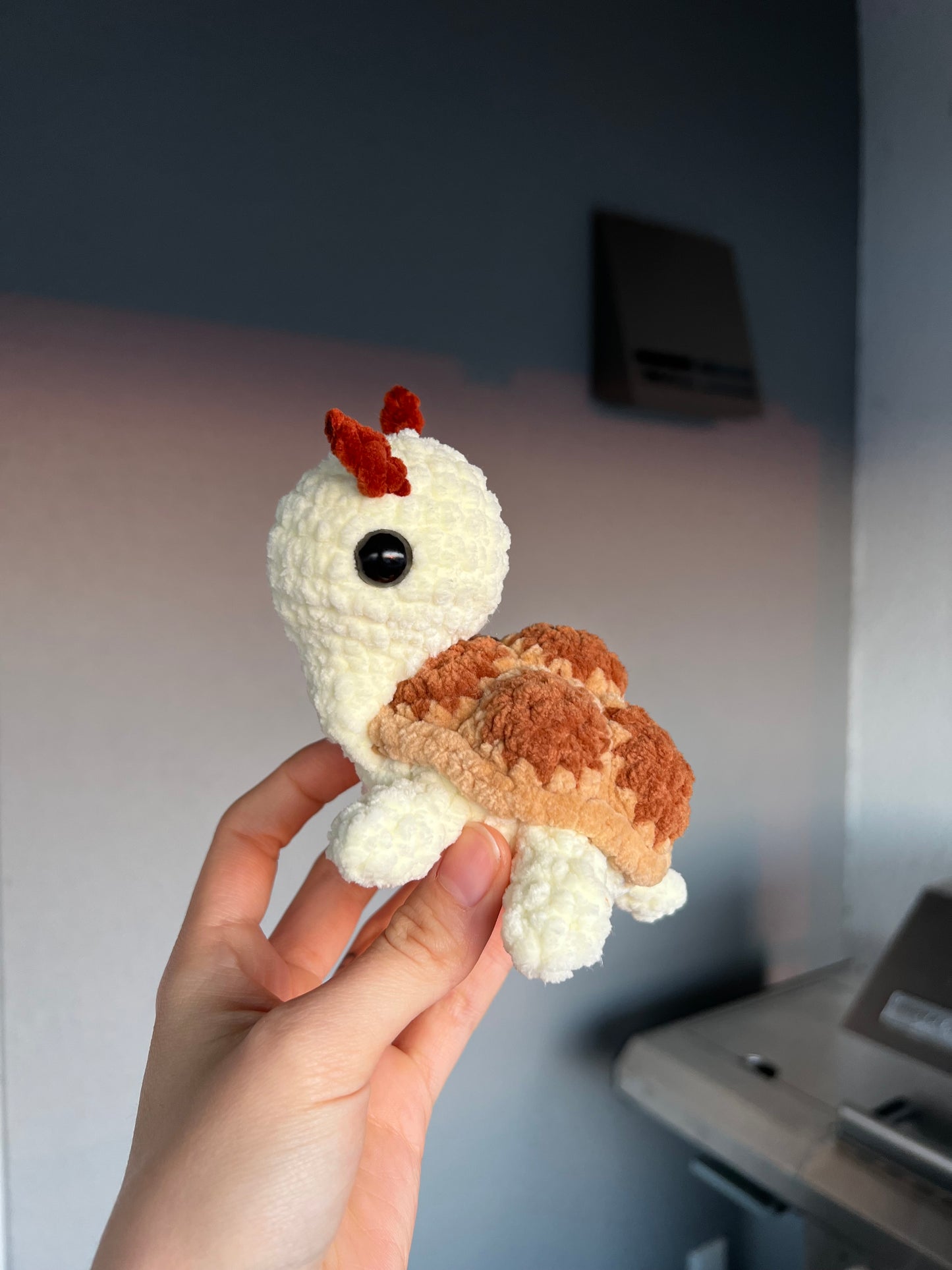 Honey die Schildkröte