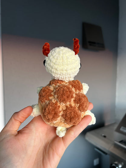 Honey die Schildkröte