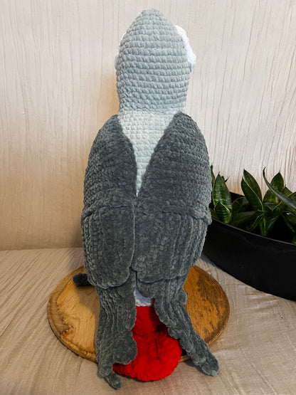 Papagei African Grey