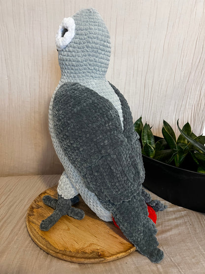 Papagei African Grey
